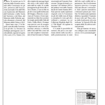 Olivo-e-Olio-11.2022
