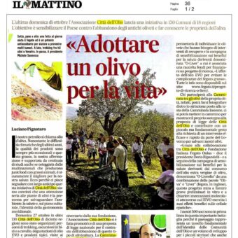 mattino